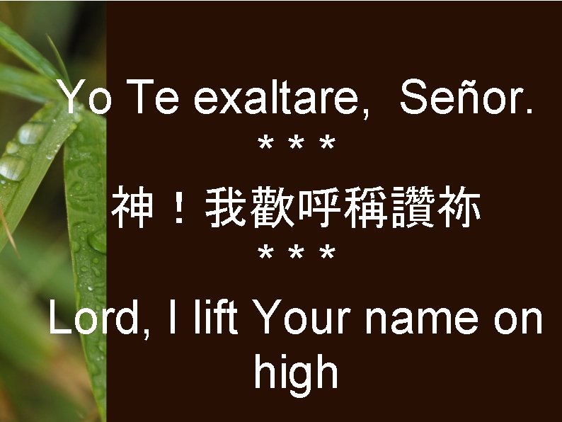 Yo Te exaltare, Señor. *** 神！我歡呼稱讚祢 *** Lord, I lift Your name on high