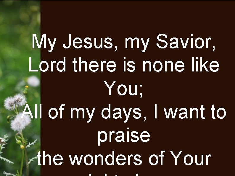 My Jesus, my Savior, Lord there is none like You; All of my days,