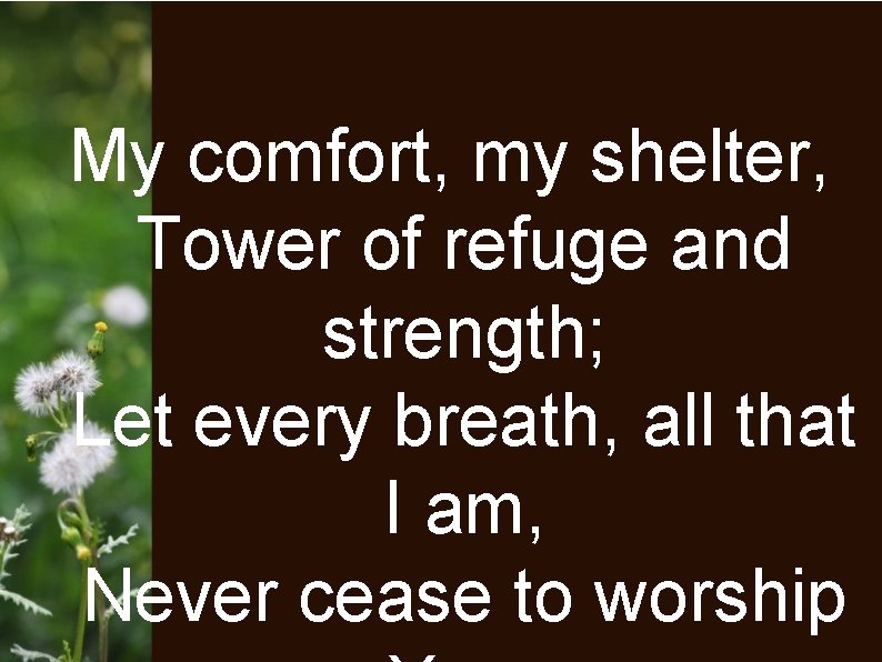 My comfort, my shelter, Tower of refuge and strength; Let every breath, all that
