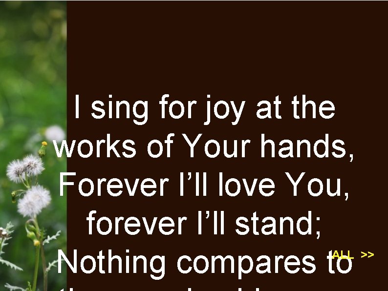 I sing for joy at the works of Your hands, Forever I’ll love You,