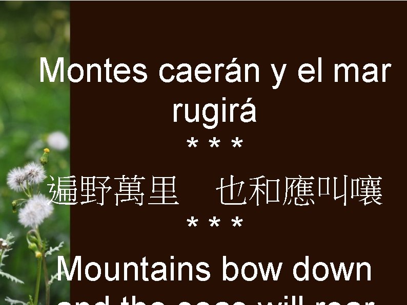 Montes caerán y el mar rugirá *** 遍野萬里 也和應叫嚷 *** Mountains bow down 