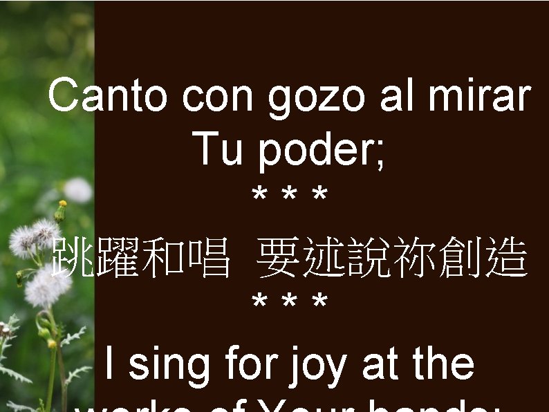 Canto con gozo al mirar Tu poder; *** 跳躍和唱 要述說祢創造 *** I sing for