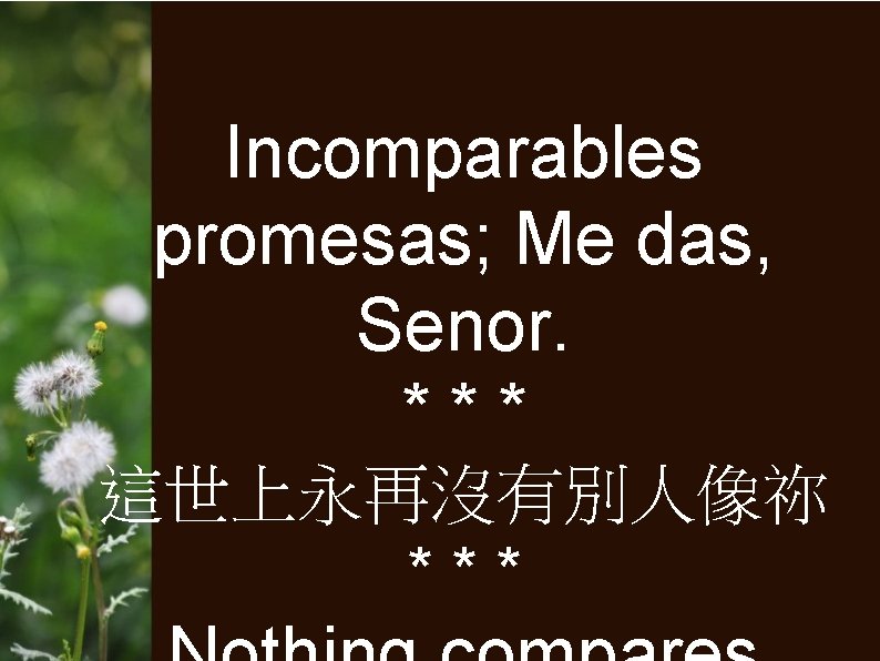 Incomparables promesas; Me das, Senor. *** 這世上永再沒有別人像祢 *** 