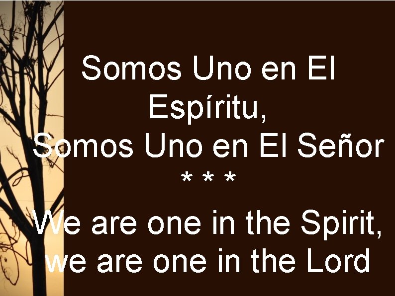 Somos Uno en El Espíritu, Somos Uno en El Señor *** We are one