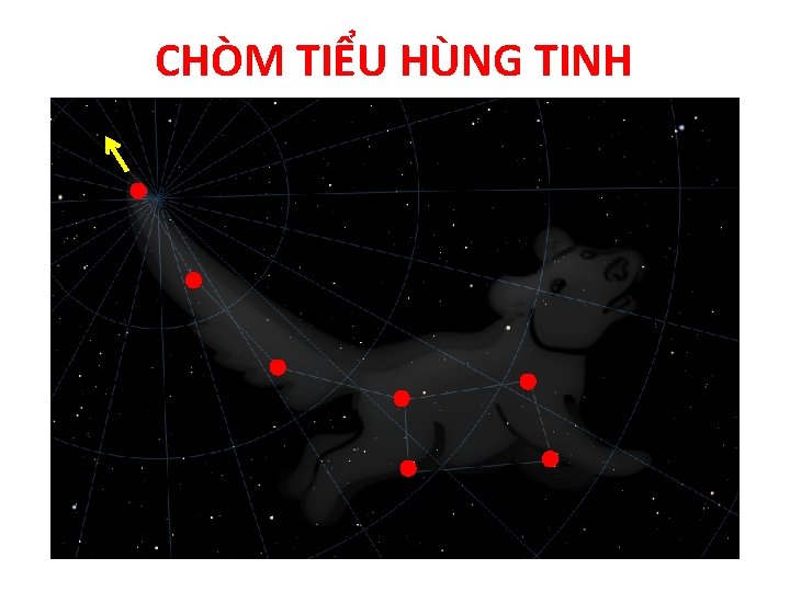 CHÒM TIỂU HÙNG TINH 
