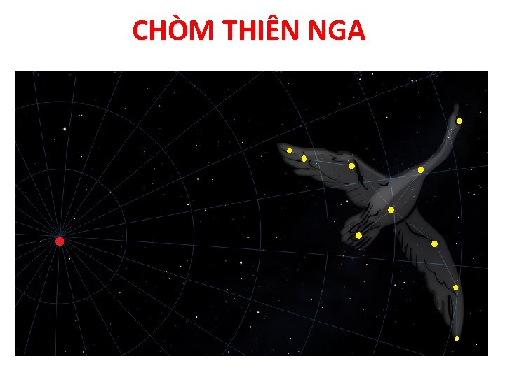 CHÒM THIÊN NGA 