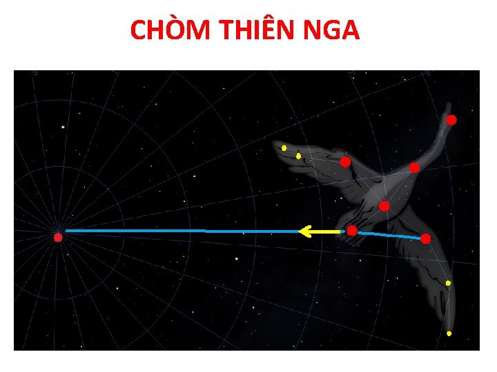 CHÒM THIÊN NGA 