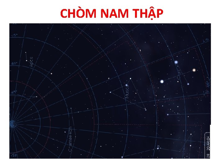 CHÒM NAM THẬP 