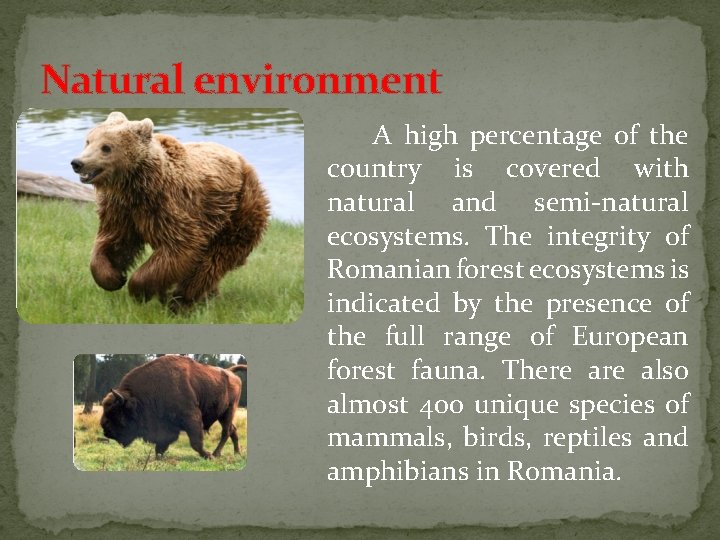 Natural environment A high percentage of the country is covered with natural and semi-natural