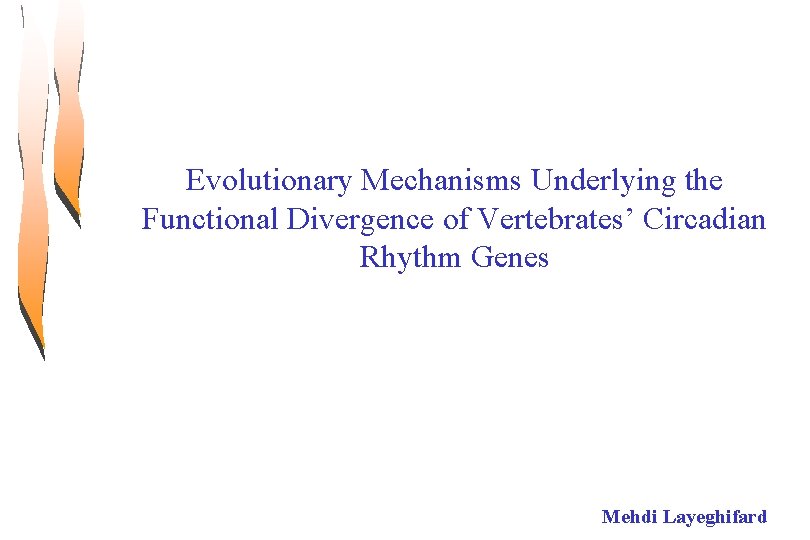 Evolutionary Mechanisms Underlying the Functional Divergence of Vertebrates’ Circadian Rhythm Genes Mehdi Layeghifard 