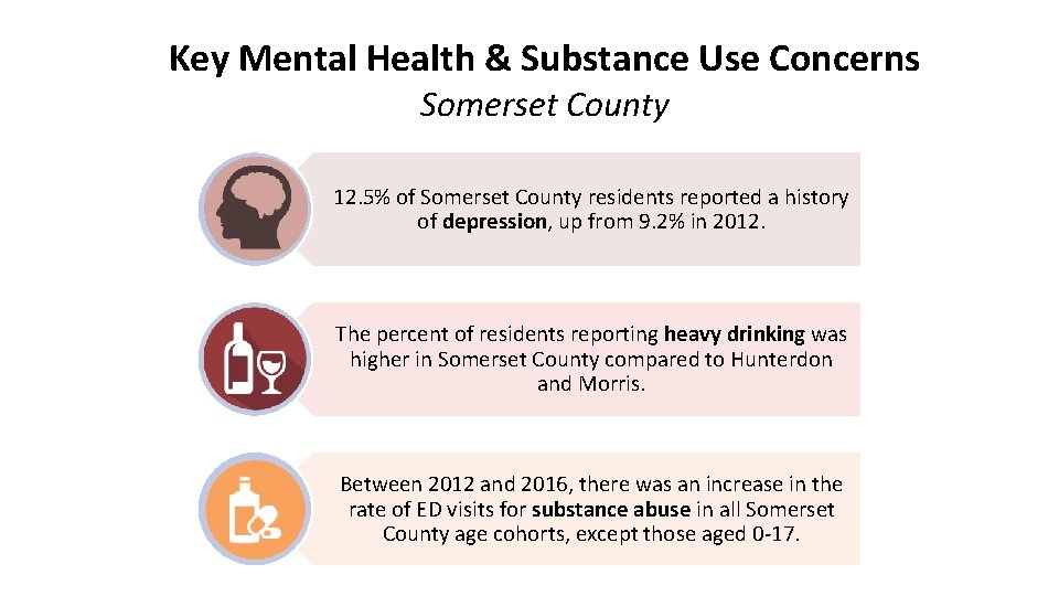 Key Mental Health & Substance Use Concerns Somerset County 12. 5% of Somerset County