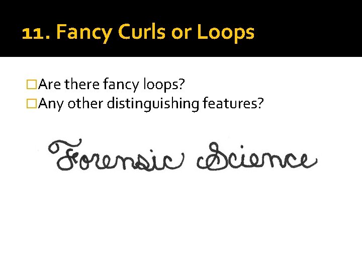 11. Fancy Curls or Loops �Are there fancy loops? �Any other distinguishing features? 
