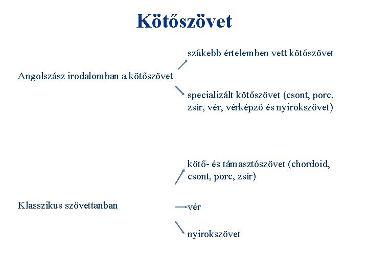 Kötőszövet szűkebb értelemben vett kötőszövet Angolszász irodalomban a kötőszövet specializált kötőszövet (csont, porc, zsír,