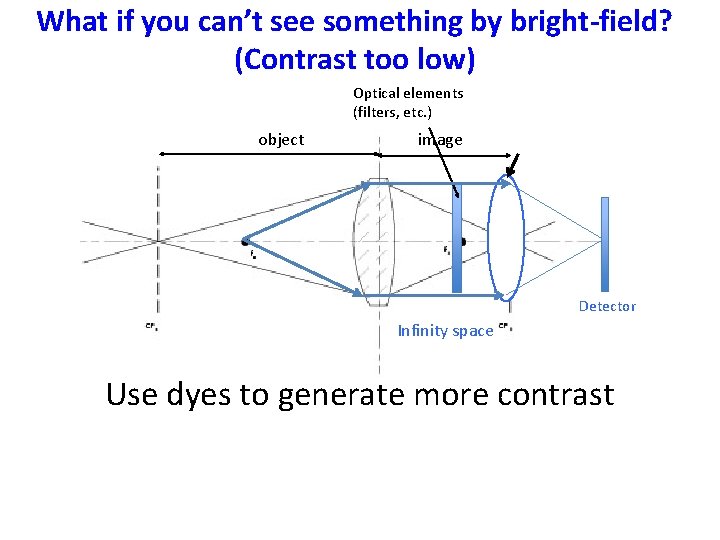 What if you can’t see something by bright-field? (Contrast too low) Optical elements (filters,