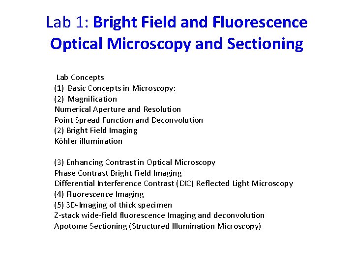 Lab 1: Bright Field and Fluorescence Optical Microscopy and Sectioning Lab Concepts (1) Basic