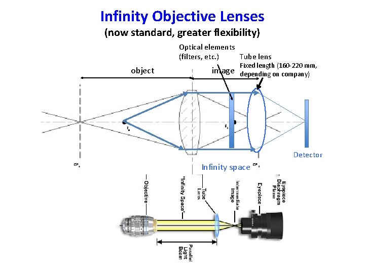 Infinity Objective Lenses (now standard, greater flexibility) Optical elements Tube lens (filters, etc. )