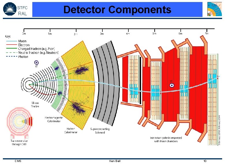 STFC RAL CMS Detector Components Ken Bell 10 