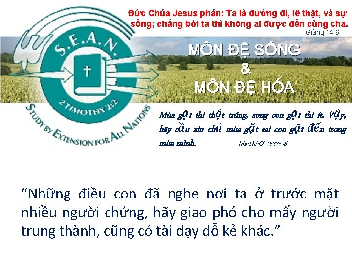 Đức Chúa Jesus phán: Ta là đường đi, lẽ thật, và sự sống; chẳng