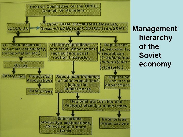 Management hierarchy of the Soviet economy 