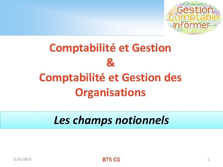 Comptabilité et Gestion & Comptabilité et Gestion des Organisations Les champs notionnels 21/01/2015 BTS