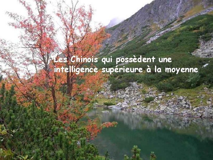 Les Chinois qui possèdent une intelligence supérieure à la moyenne 