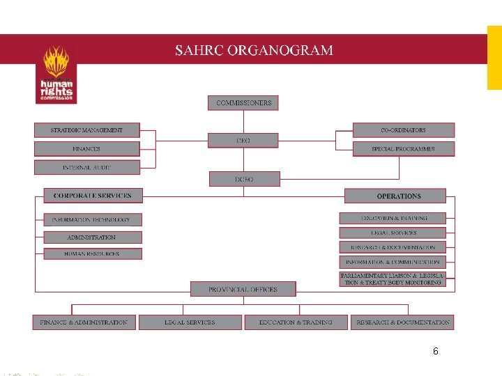ORGANOGRAM 6 