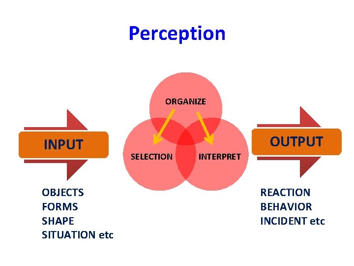 Perception ORGANIZE INPUT OBJECTS FORMS SHAPE SITUATION etc OUTPUT SELECTION INTERPRET REACTION BEHAVIOR INCIDENT