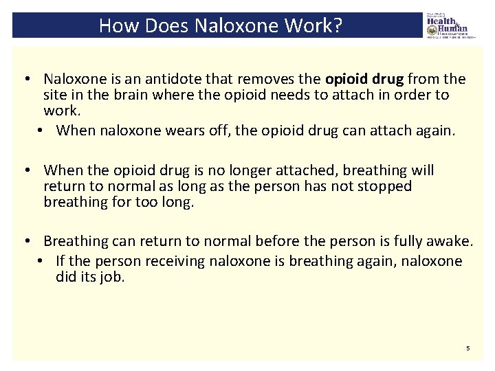 How Does Naloxone Work? • Naloxone is an antidote that removes the opioid drug