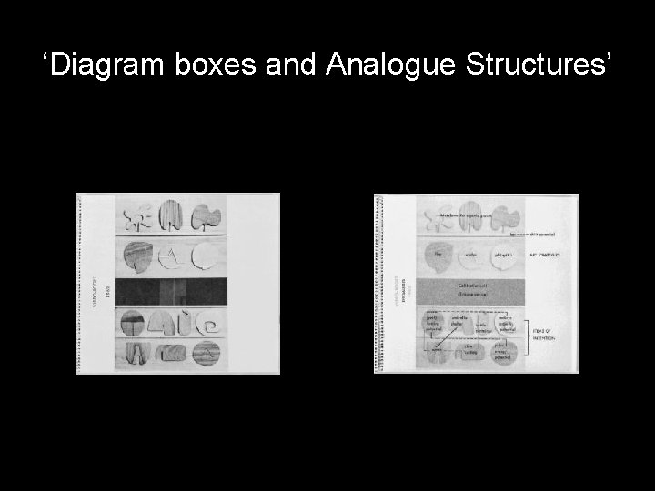 ‘Diagram boxes and Analogue Structures’ 