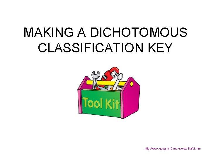 MAKING A DICHOTOMOUS CLASSIFICATION KEY http: //www. qacps. k 12. md. us/ces/Staff 2. htm