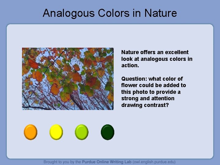 Analogous Colors in Nature offers an excellent look at analogous colors in action. Question: