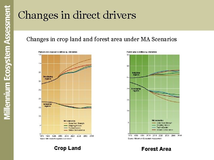 Changes in direct drivers Changes in crop land forest area under MA Scenarios Crop