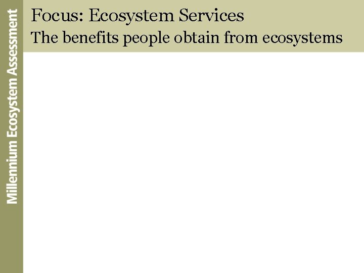 Focus: Ecosystem Services The benefits people obtain from ecosystems 