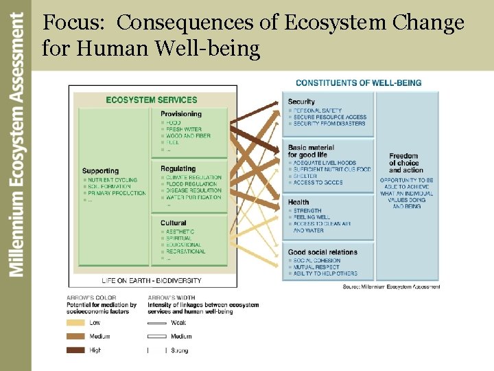 Focus: Consequences of Ecosystem Change for Human Well-being 