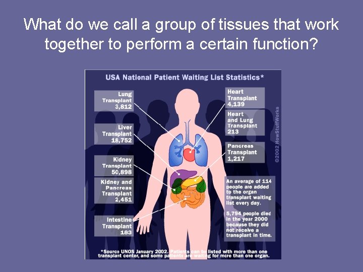 What do we call a group of tissues that work together to perform a