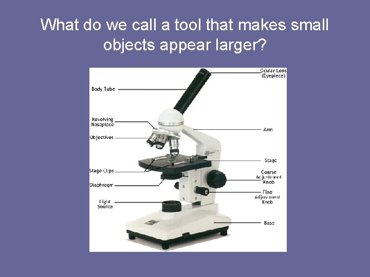 What do we call a tool that makes small objects appear larger? 