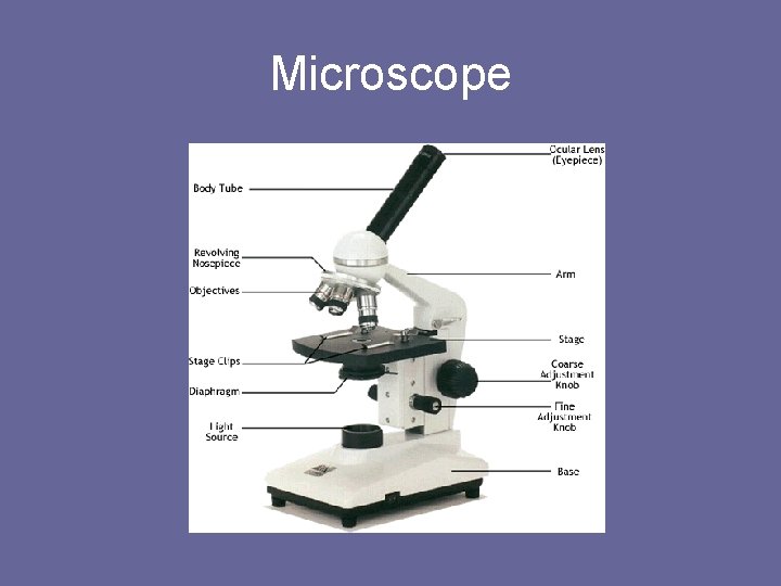 Microscope 
