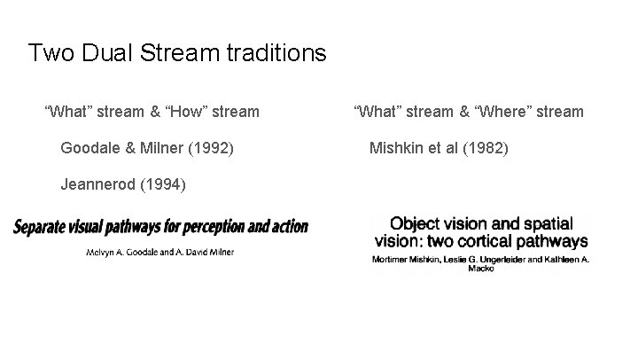 Two Dual Stream traditions “What” stream & “How” stream Goodale & Milner (1992) Jeannerod