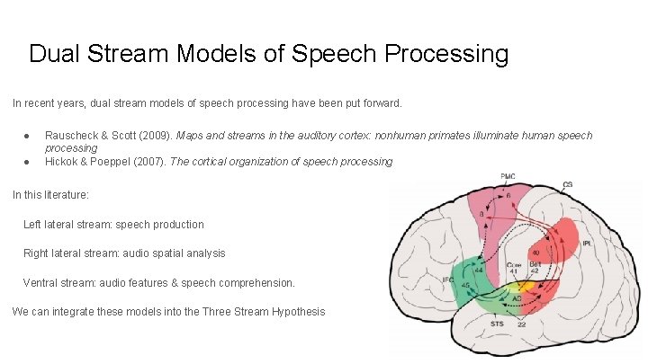 Dual Stream Models of Speech Processing In recent years, dual stream models of speech