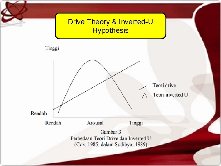 Drive Theory & Inverted-U Hypothesis 