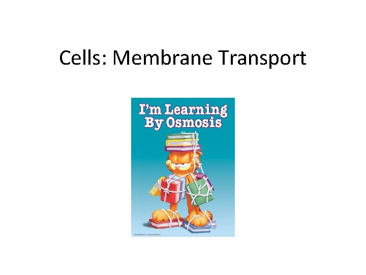 Cells: Membrane Transport 