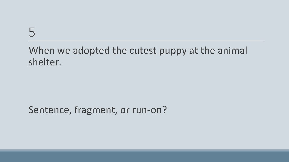 5 When we adopted the cutest puppy at the animal shelter. Sentence, fragment, or