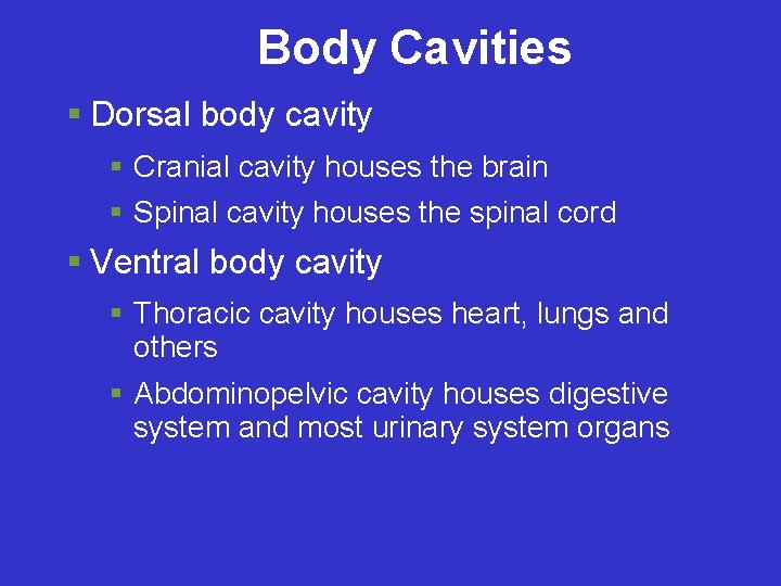 Body Cavities Dorsal body cavity Cranial cavity houses the brain Spinal cavity houses the