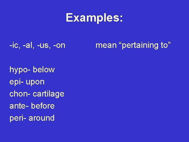 Examples: -ic, -al, -us, -on hypo- below epi- upon chon- cartilage ante- before peri-