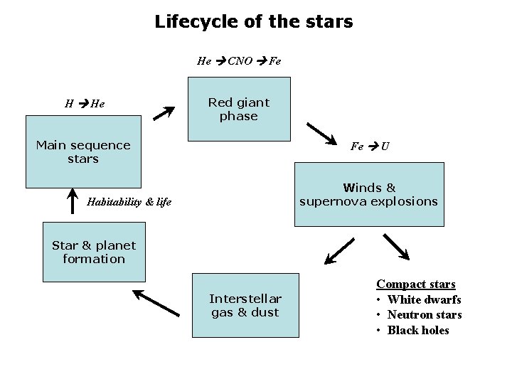 Lifecycle of the stars He CNO Fe H He Red giant phase Main sequence