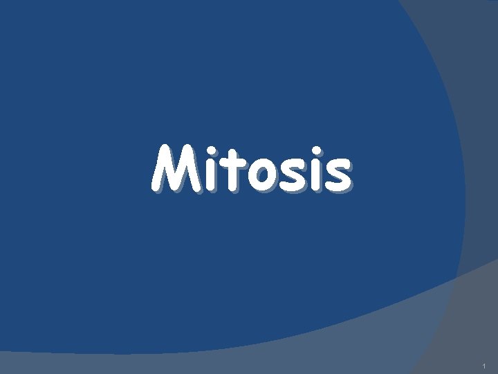 Mitosis 1 