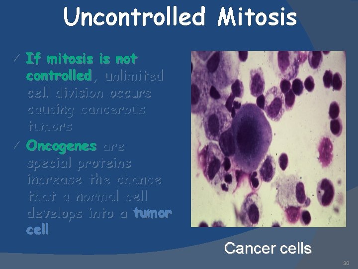 Uncontrolled Mitosis If mitosis is not controlled, unlimited cell division occurs causing cancerous tumors