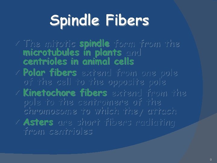 Spindle Fibers The mitotic spindle form from the microtubules in plants and centrioles in