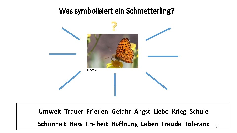 Was symbolisiert ein Schmetterling? Image 5 Umwelt Trauer Frieden Gefahr Angst Liebe Krieg Schule