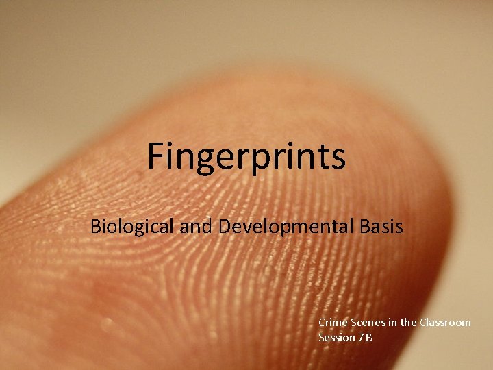 Fingerprints Biological and Developmental Basis Crime Scenes in the Classroom Session 7 B 